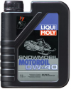 LIQUI MOLY 4T Snowmobil